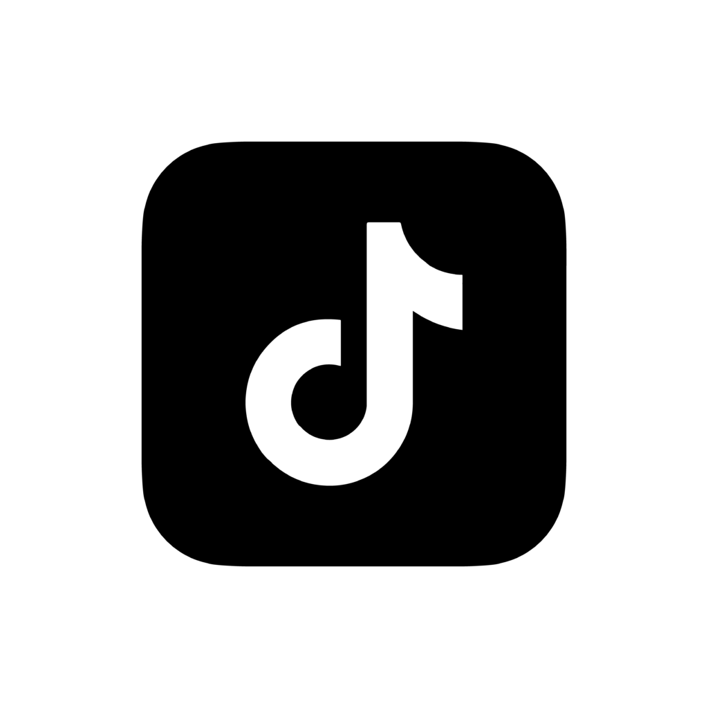 100 Fresh TikTok account with Recovery